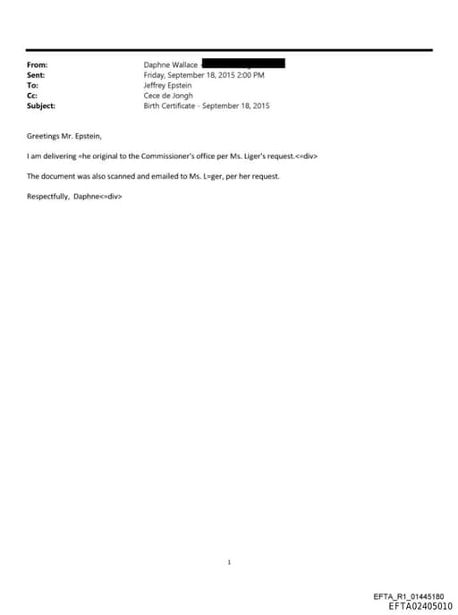 Preview of EFTA02405010