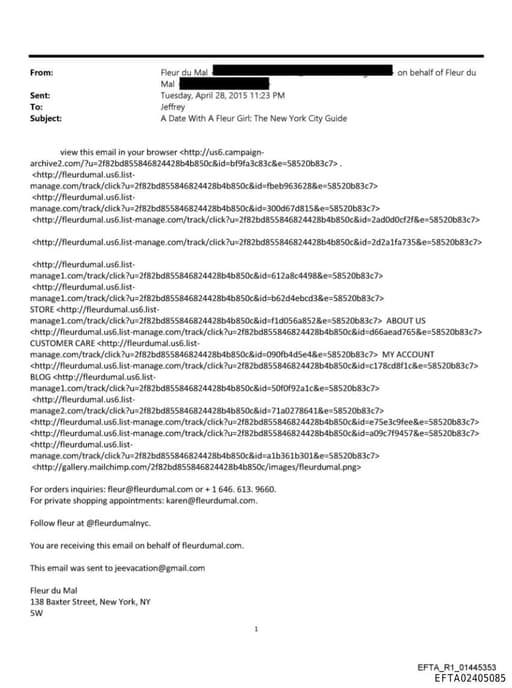 Preview of EFTA02405085