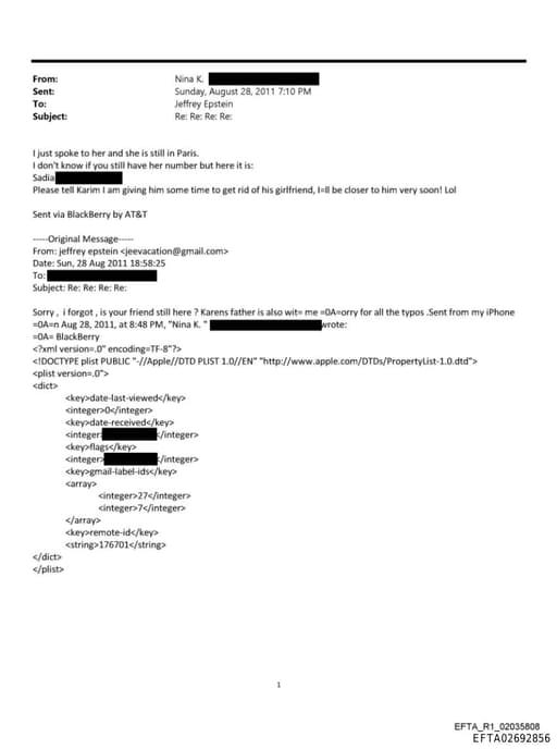 Preview of EFTA02692856