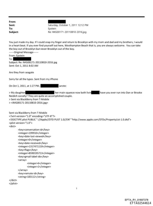 Preview of EFTA02544614