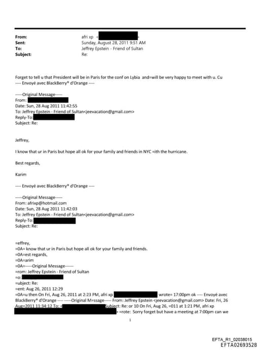 Preview of EFTA02693528