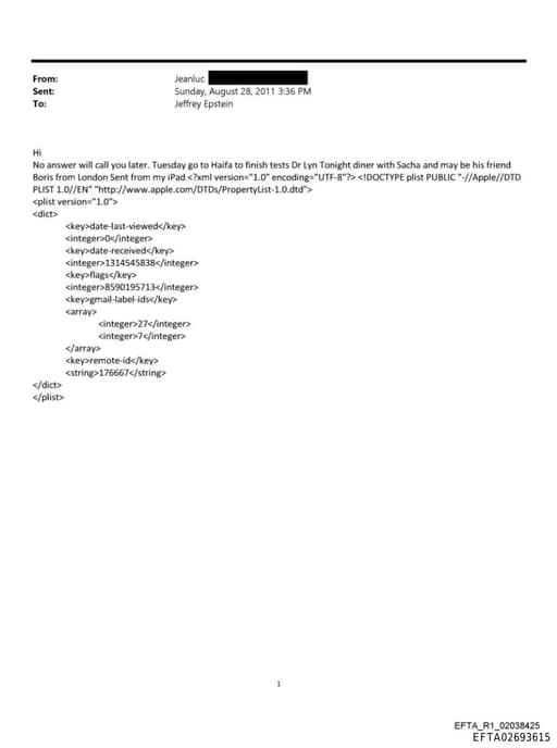 Preview of EFTA02693615