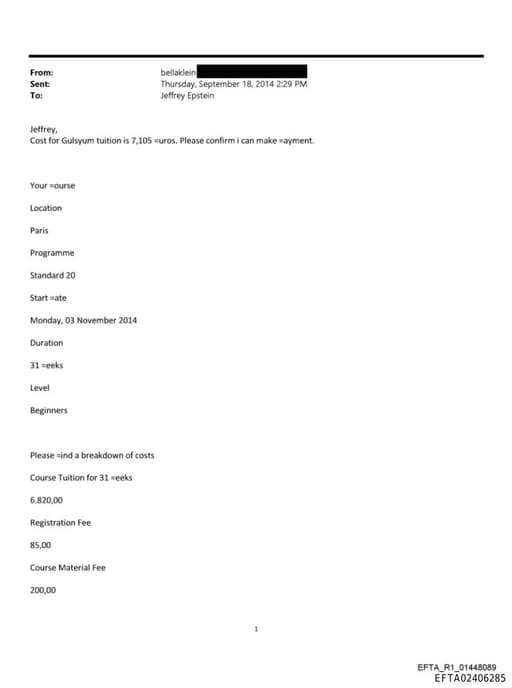 Preview of EFTA02406285