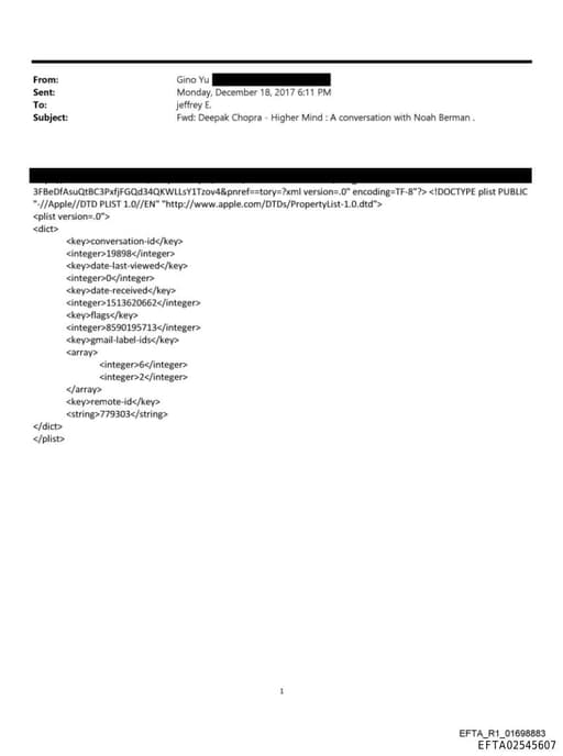 Preview of EFTA02545607