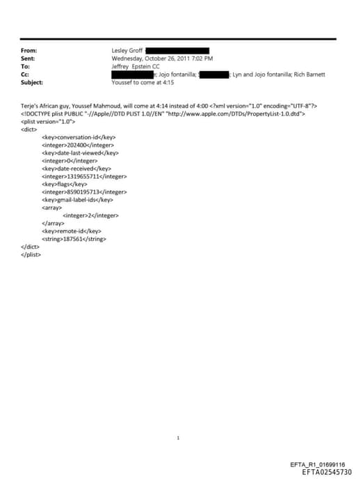 Preview of EFTA02545730