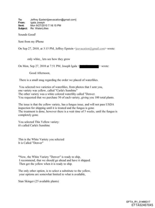 Preview of EFTA02407045