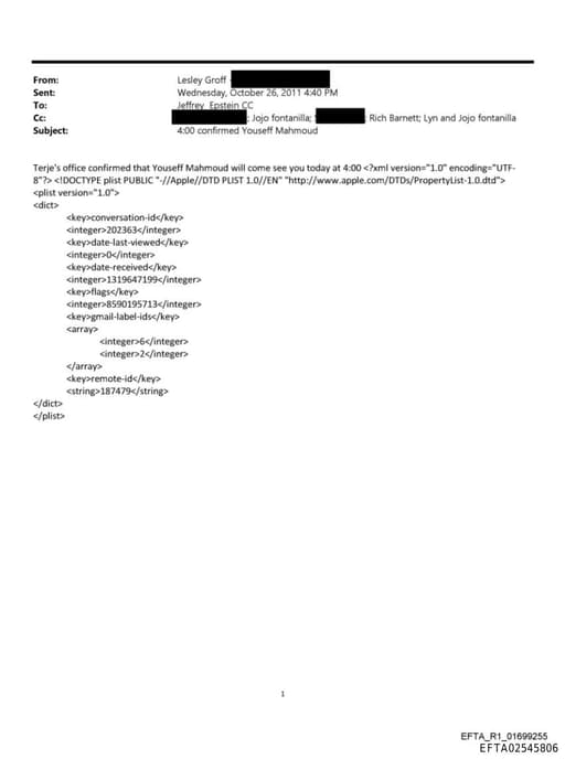 Preview of EFTA02545806