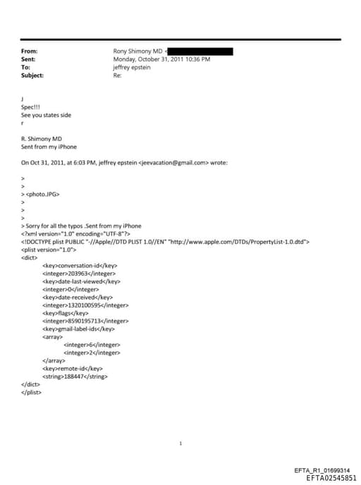 Preview of EFTA02545851