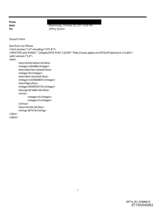 Preview of EFTA02545852