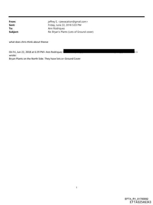 Preview of EFTA02546343