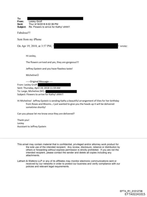 Preview of EFTA02241015