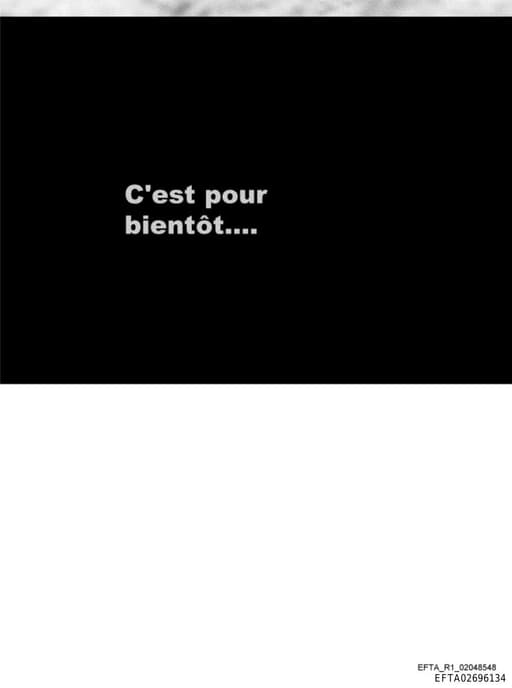 Preview of EFTA02696134