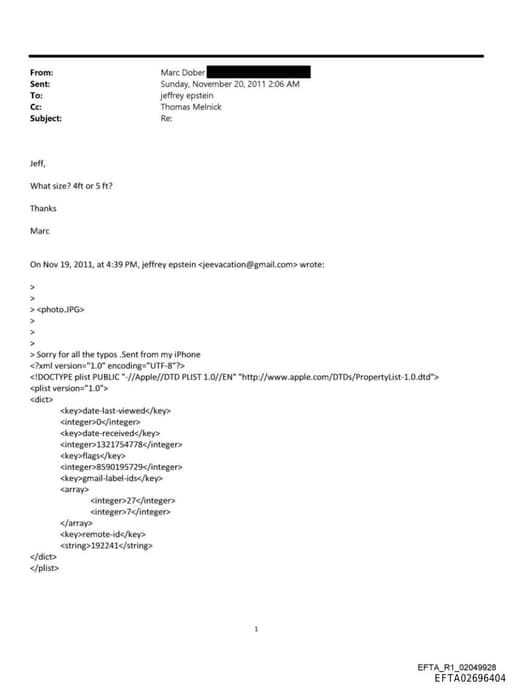 Preview of EFTA02696404