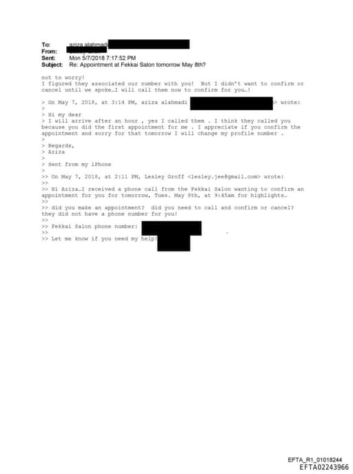 Preview of EFTA02243966