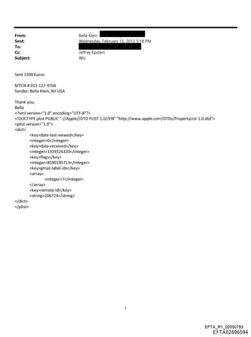 Preview of EFTA02696594