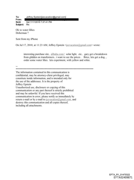 Preview of EFTA02409871