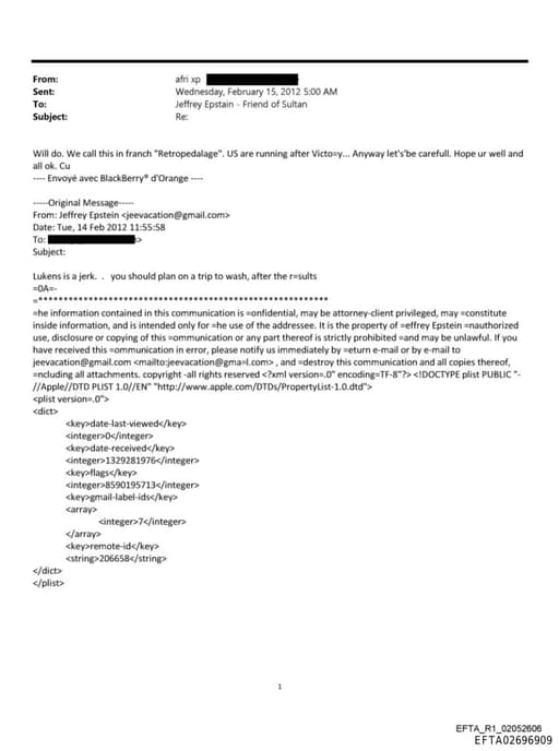 Preview of EFTA02696909