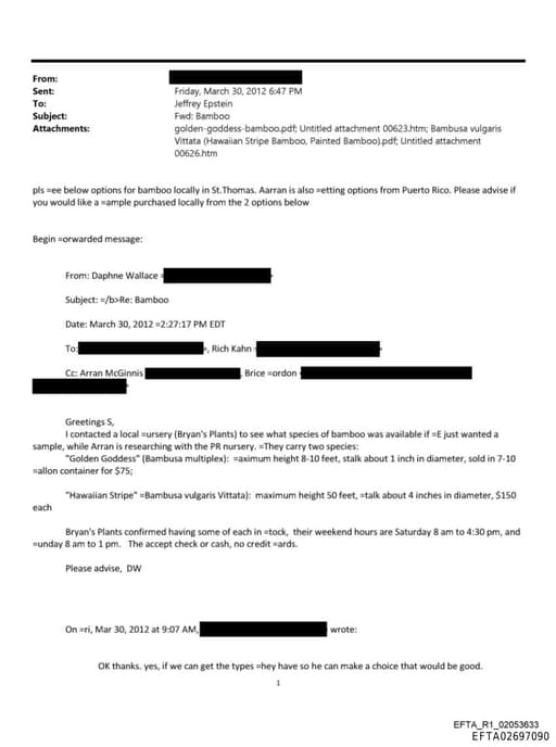 Preview of EFTA02697090