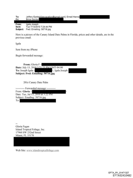 Preview of EFTA02410482