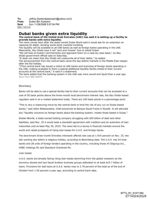 Preview of EFTA02410529