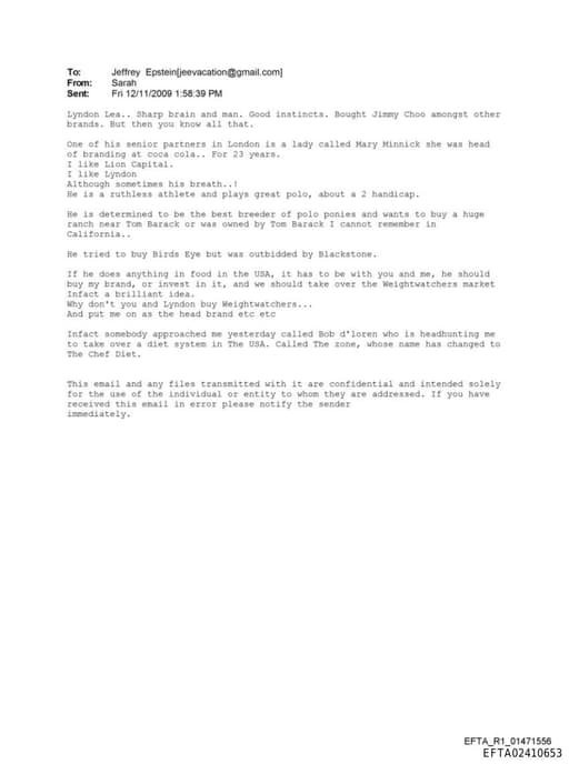 Preview of EFTA02410653