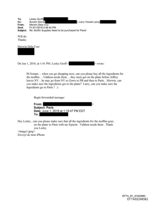 Preview of EFTA02246561