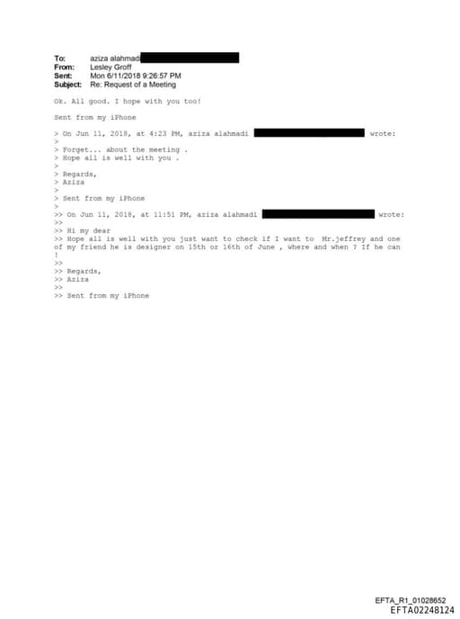 Preview of EFTA02248124