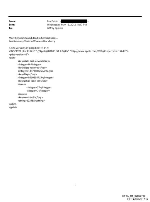 Preview of EFTA02698737