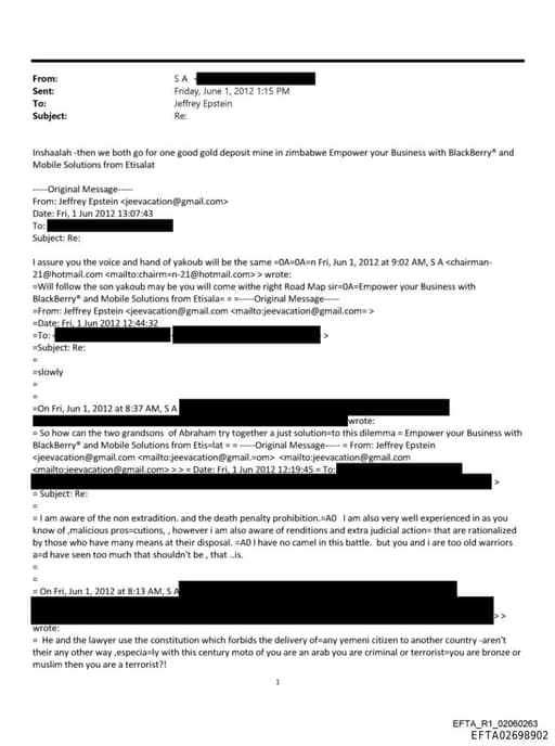 Preview of EFTA02698902