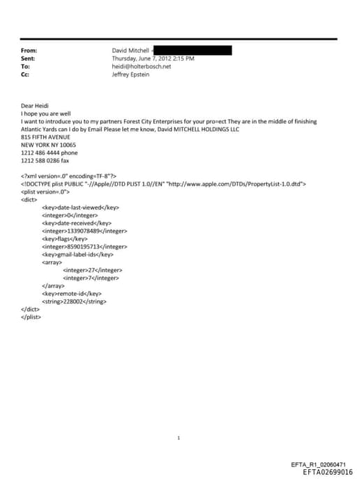 Preview of EFTA02699016