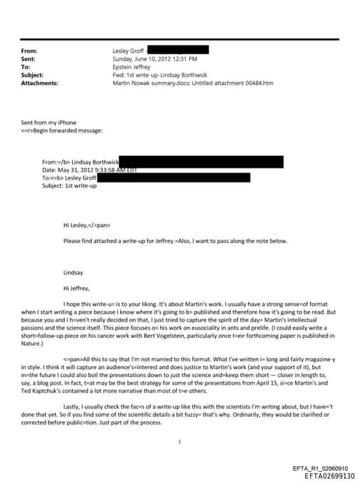 Preview of EFTA02699130