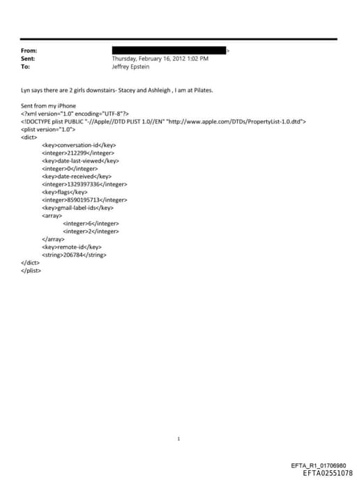 Preview of EFTA02551078