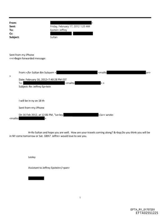 Preview of EFTA02551225