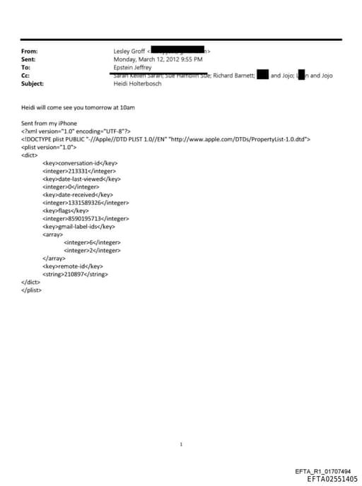 Preview of EFTA02551405