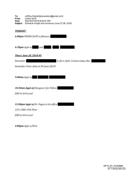 Preview of EFTA02250135