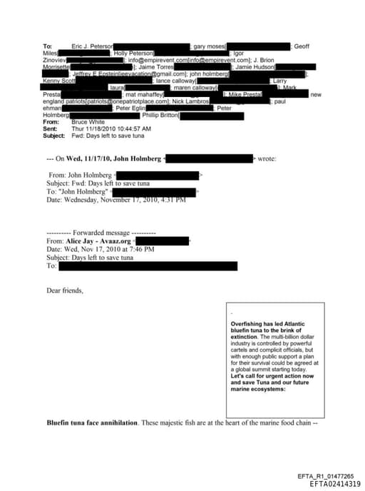 Preview of EFTA02414319