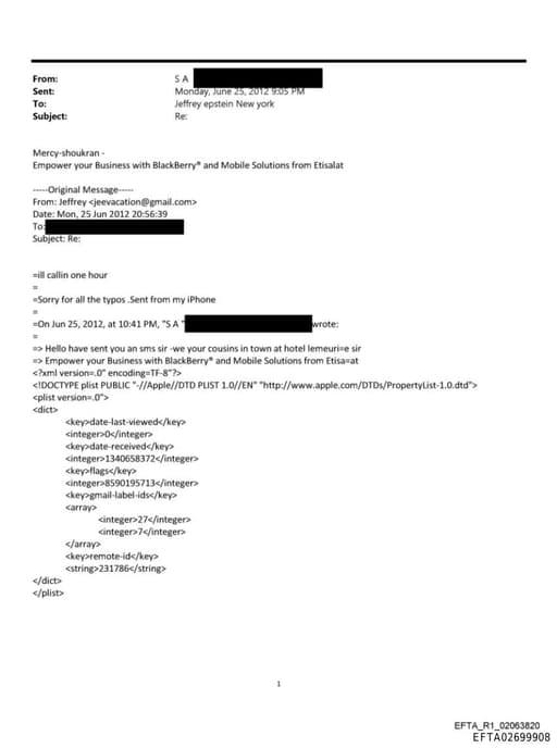 Preview of EFTA02699908