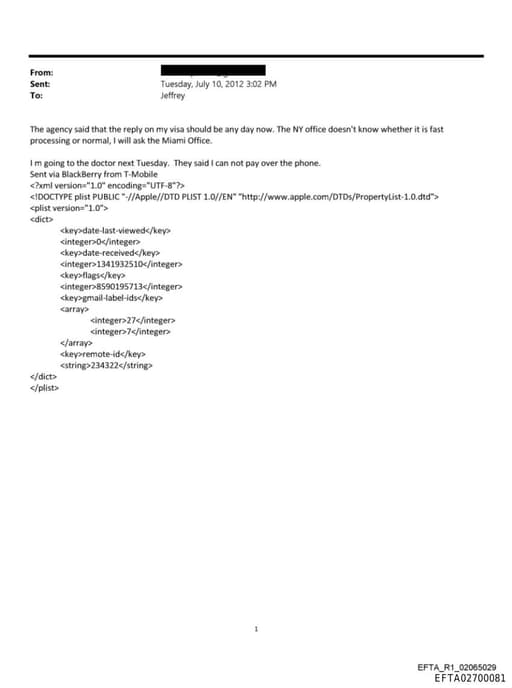 Preview of EFTA02700081