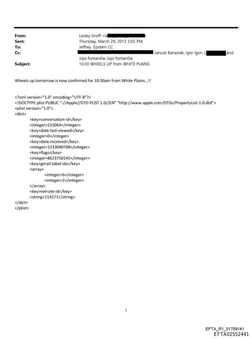 Preview of EFTA02552441