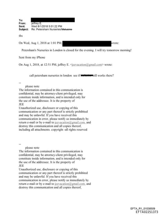 Preview of EFTA02251373