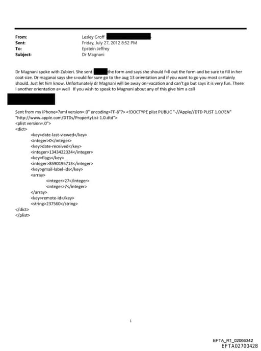 Preview of EFTA02700428