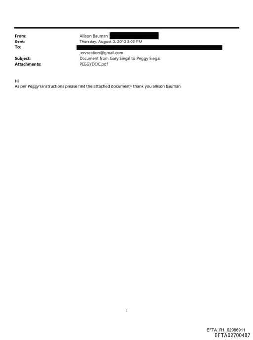 Preview of EFTA02700487