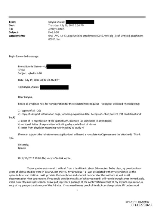 Preview of EFTA02700655