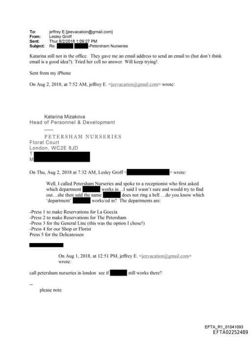 Preview of EFTA02252489