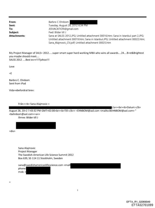 Preview of EFTA02701099