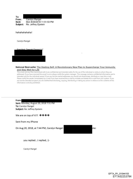 Preview of EFTA02253794