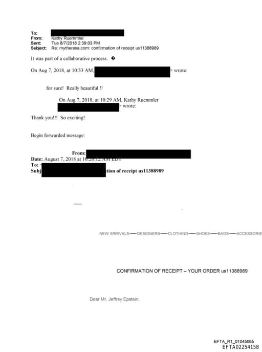 Preview of EFTA02254158