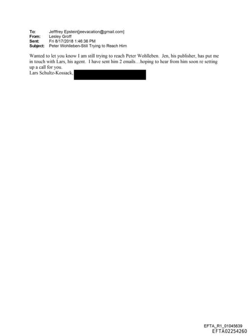 Preview of EFTA02254260