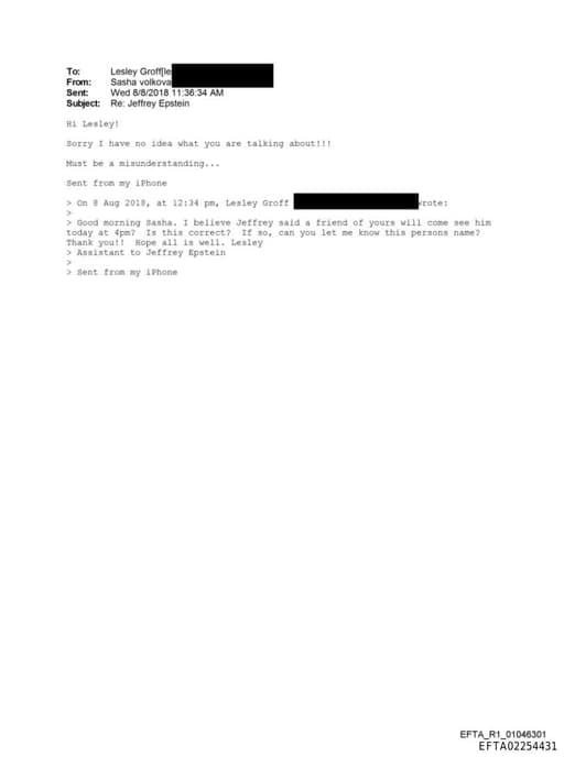 Preview of EFTA02254431