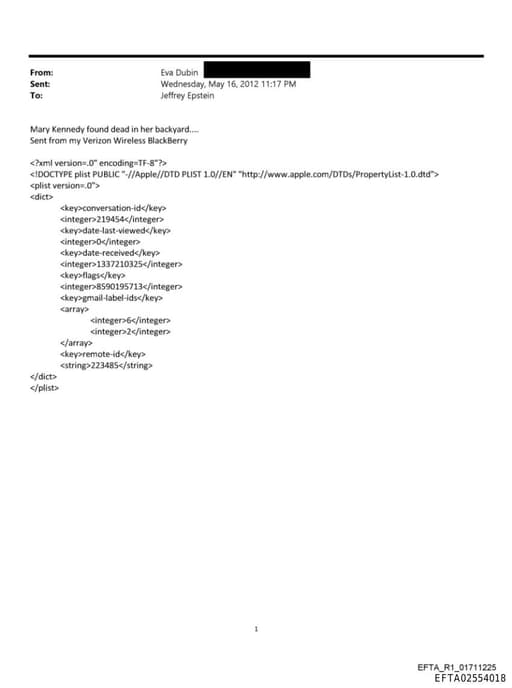 Preview of EFTA02554018